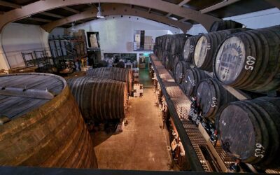 Thema-avond Portdiner