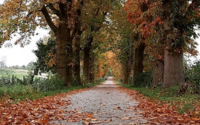Het najaar brengt ons nieuwe gerechten