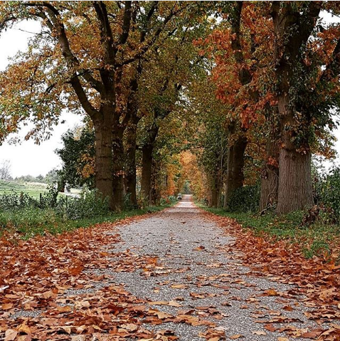 Het najaar brengt ons nieuwe gerechten