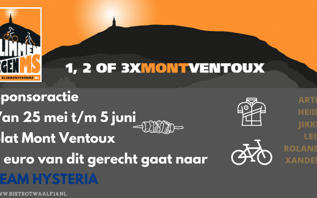 Bistro twaalf 14 sponsort klimmen tegen MS
